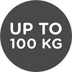 Fino a 100 kg