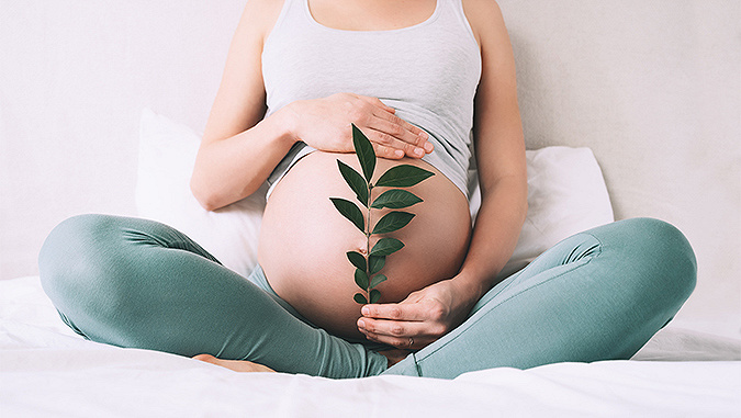 La donna incinta è seduta sul letto con le gambe incrociate. Con una mano mostra il suo ventre, con l'altra tiene un ramoscello con foglie verdi.