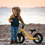 Bicicletta GOSWIFT giallo